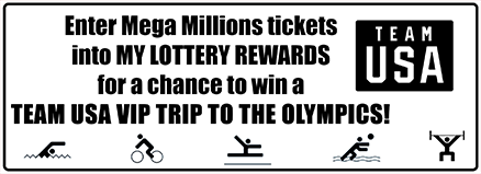 The graphic that is printed on the Mega Millions playslip during the promotion